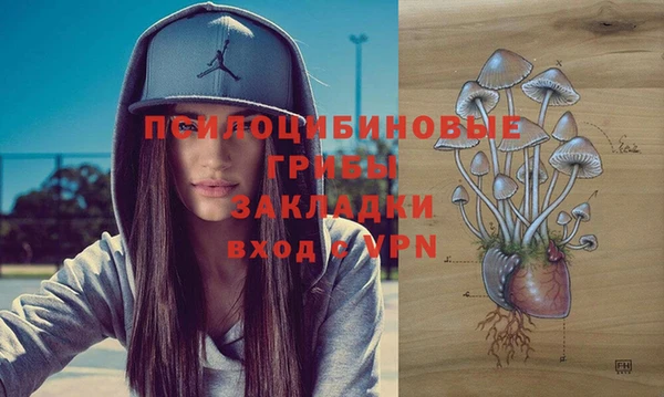 скорость Алзамай