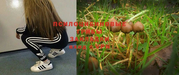 скорость Алзамай