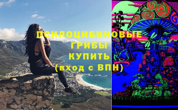 скорость Алзамай