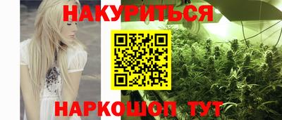 молекула духа Краснознаменск