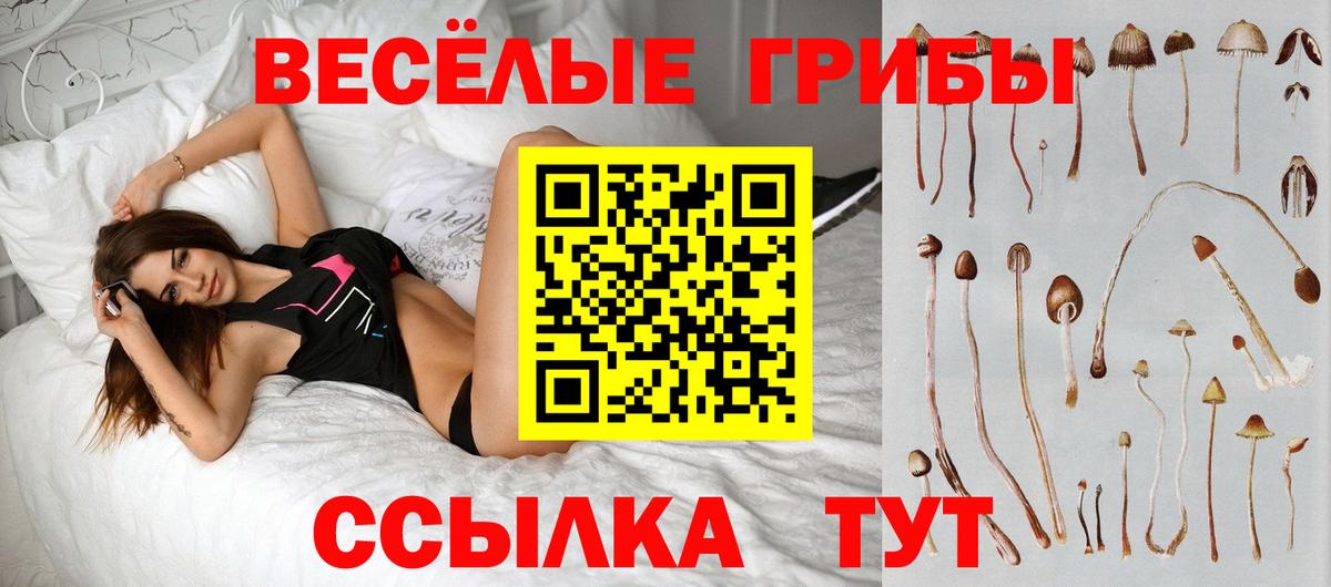 Псилоцибиновые грибы Magic Shrooms Конаково